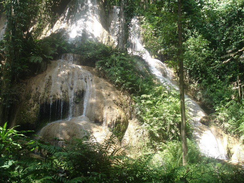 ../Picture/2552/Copy of DSC02924.JPG